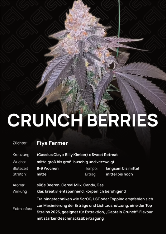 Crunch Berries - Tier 4