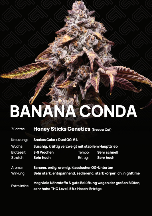 Banana Conda #4 - Tier 1