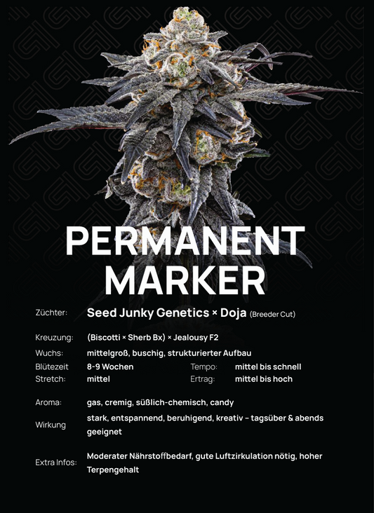 Permanent Marker Steckling – kompakter, strukturierter Wuchs