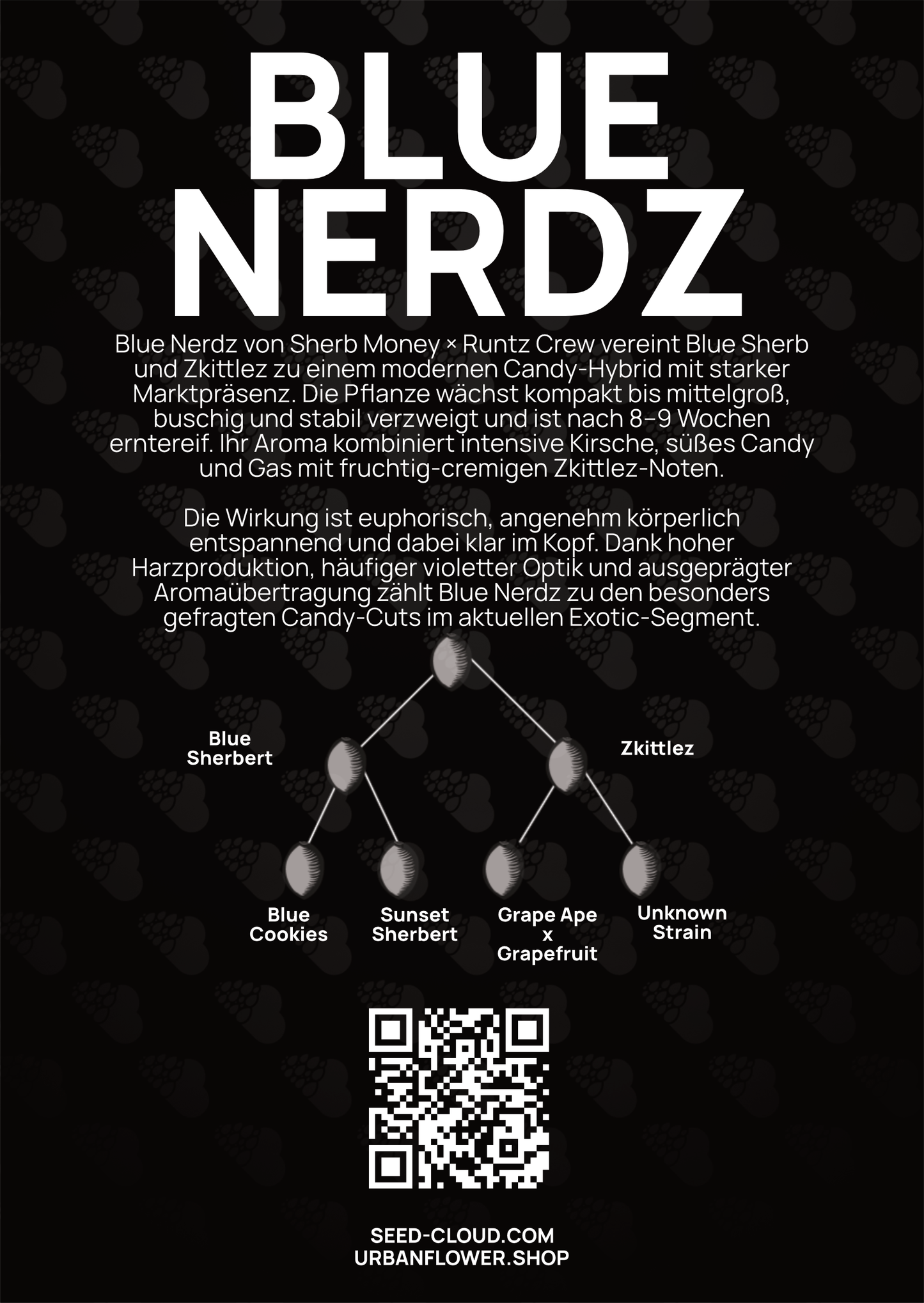Blue Nerdz - Tier 4