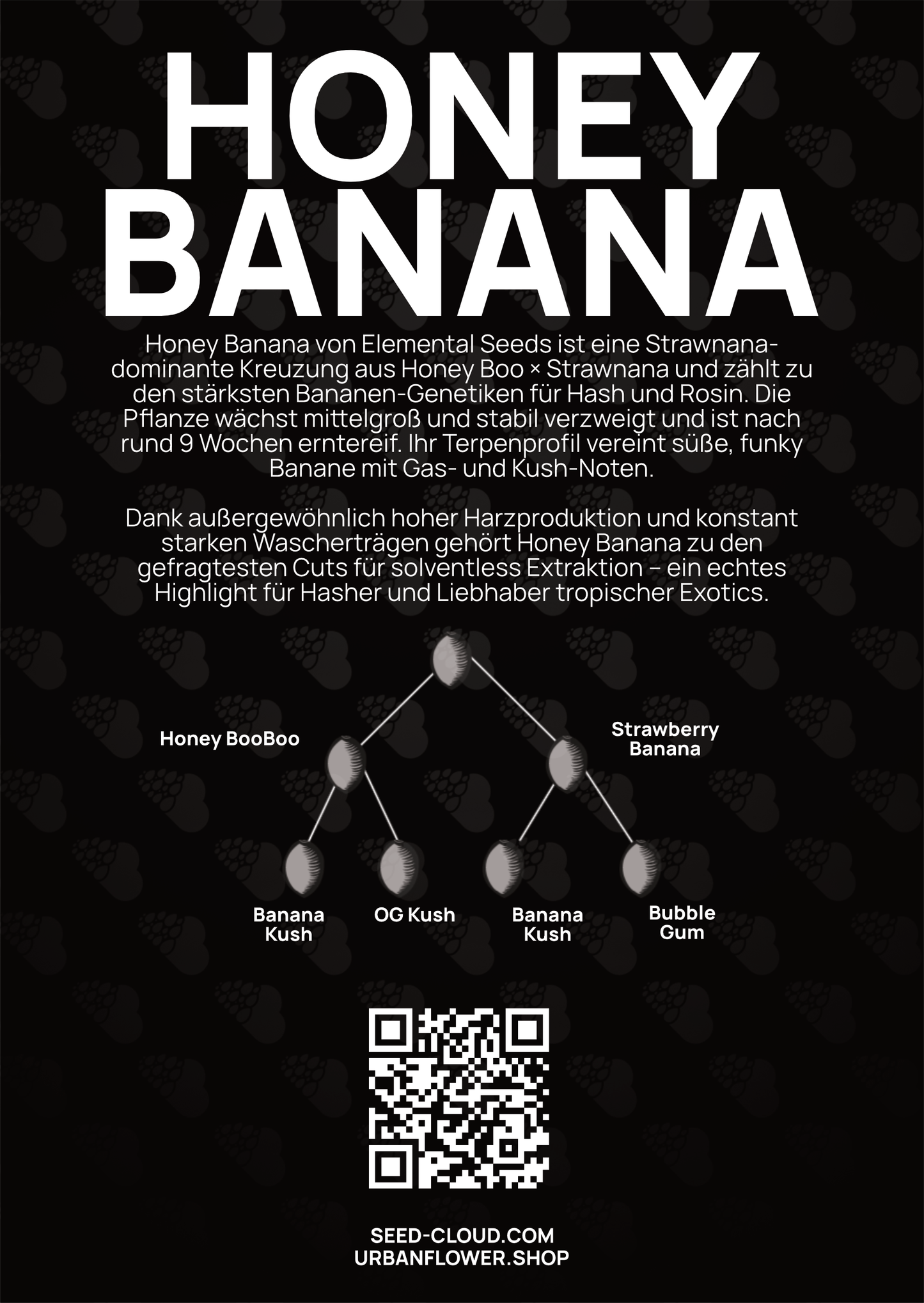 Honey Banana - Tier 5