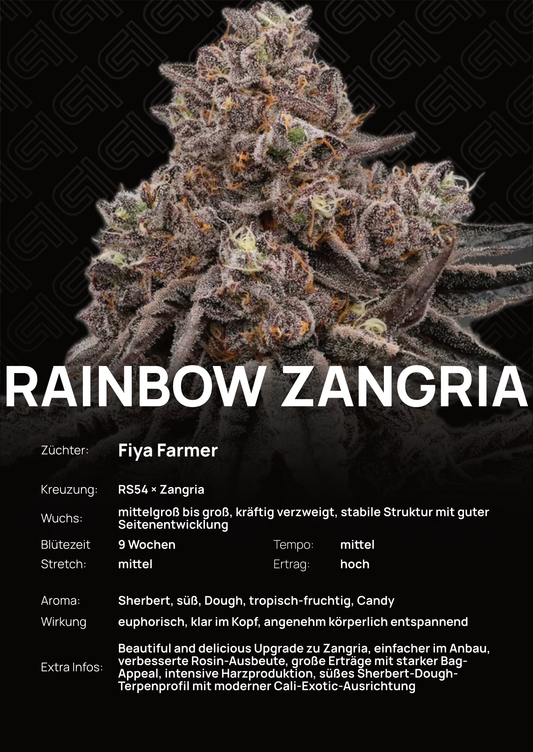 Rainbow Zangria - Tier 2