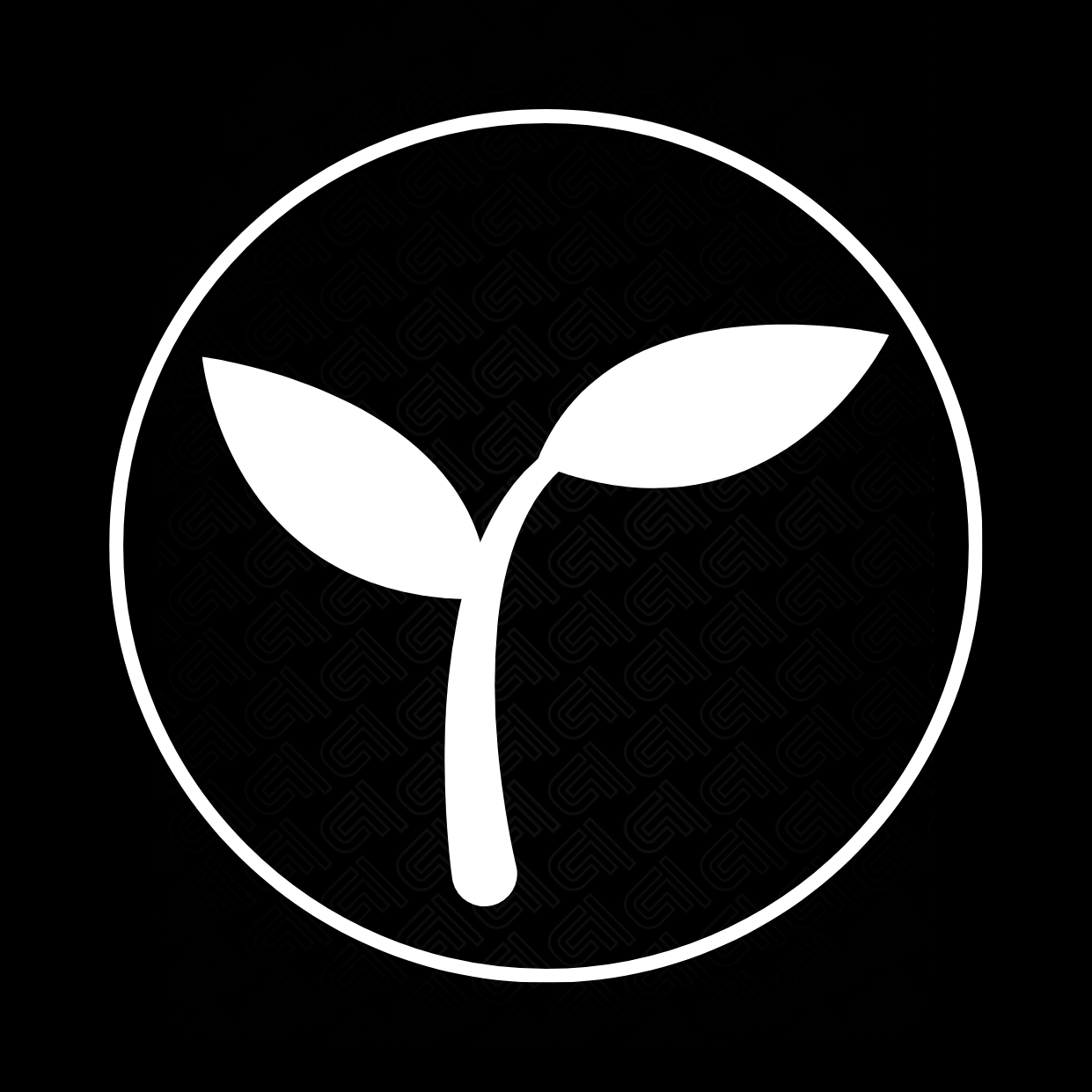 Sämlinge & Autoflower