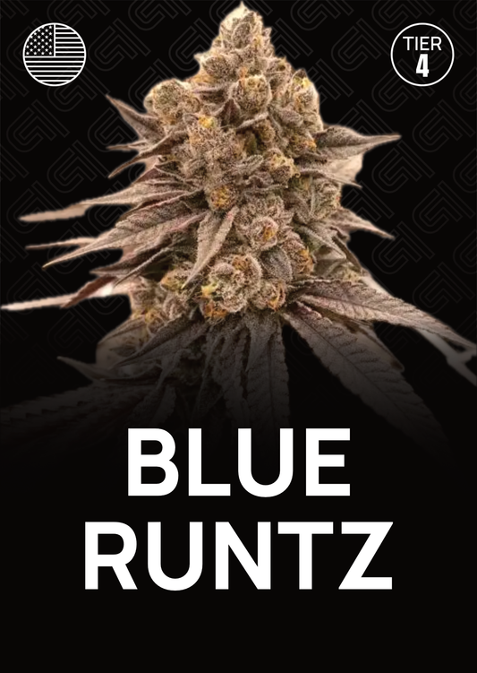 Blue Runtz  - Tier 4