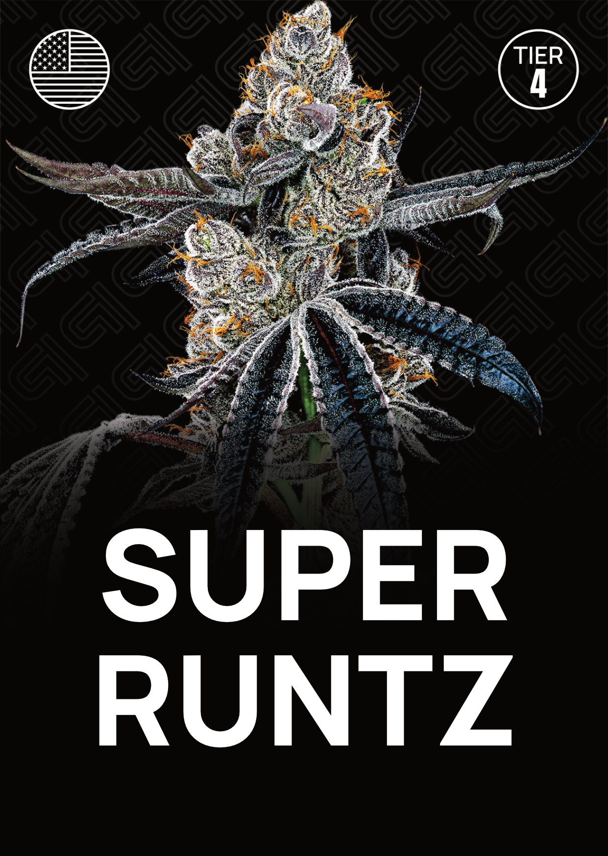 Super Runtz - Tier 4