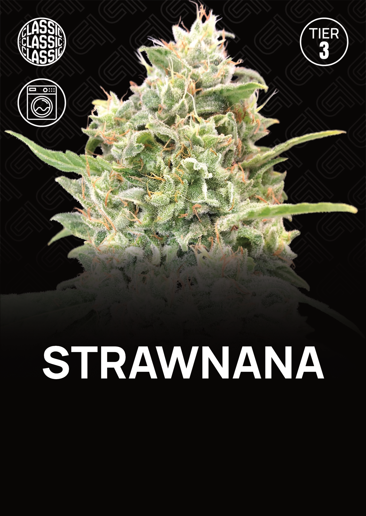 Strawnana - Tier 3