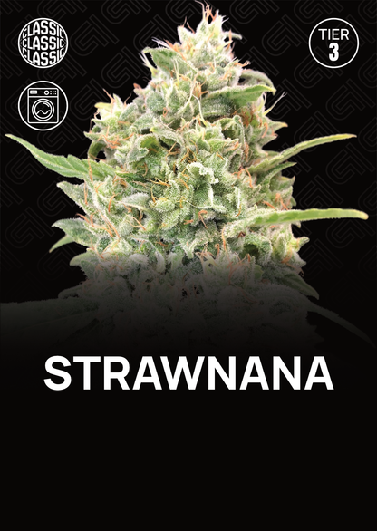 Strawnana - Tier 3