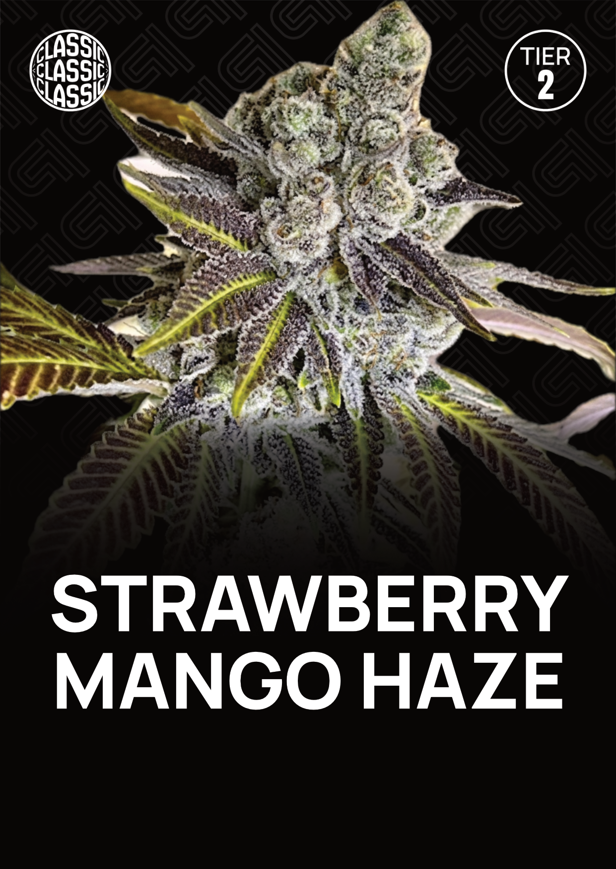 Strawberry Mango Haze - Tier 2