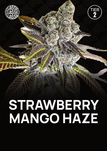 Strawberry Mango Haze - Tier 2
