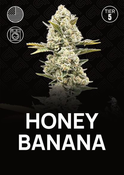 Honey Banana - Tier 5
