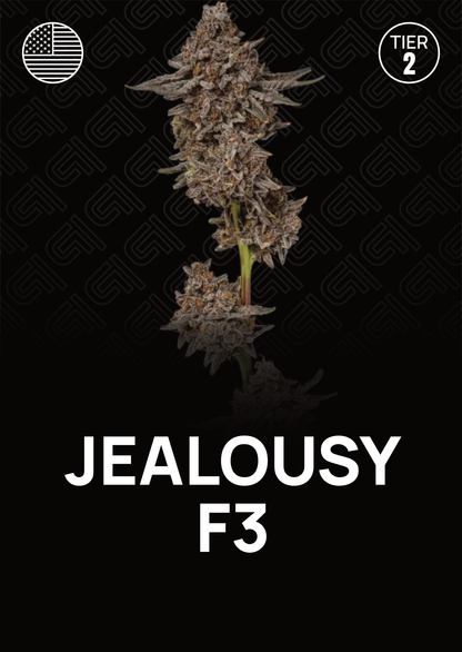 Jealousy F3 - Tier 2