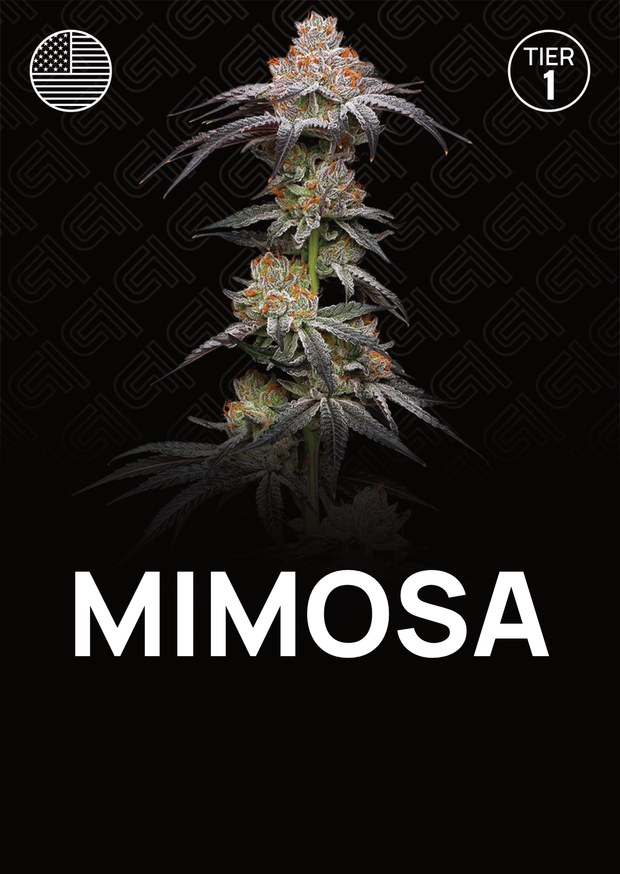 Mimosa - Tier 1
