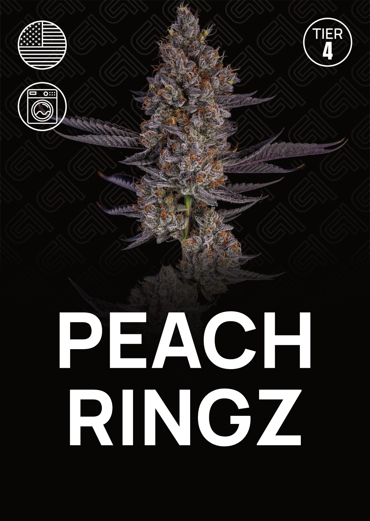 Peach Ringz - Tier 4