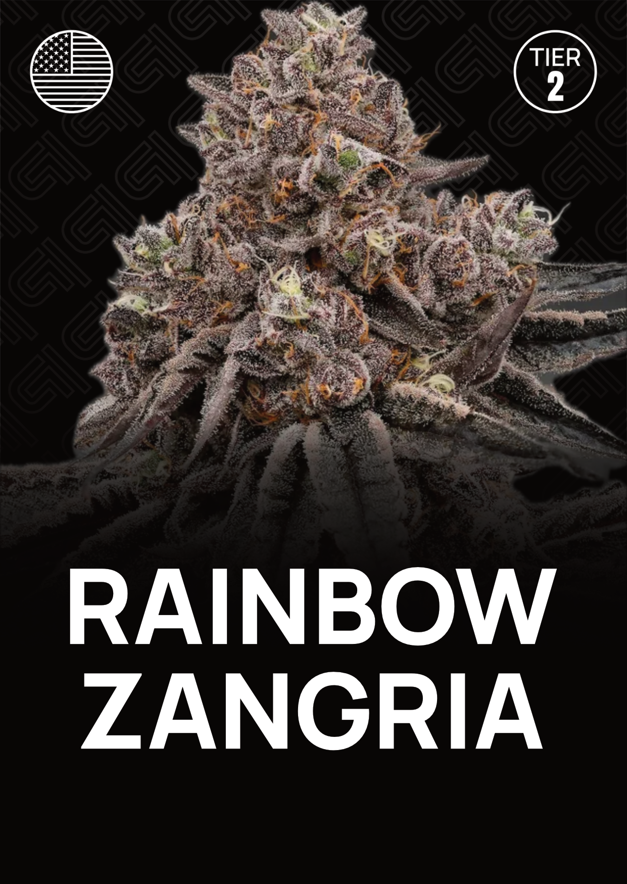 Rainbow Zangria - Tier 2