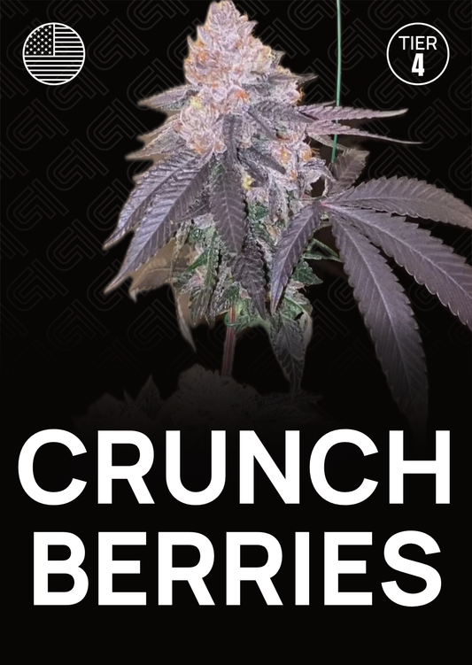 Crunch Berries - Tier 4