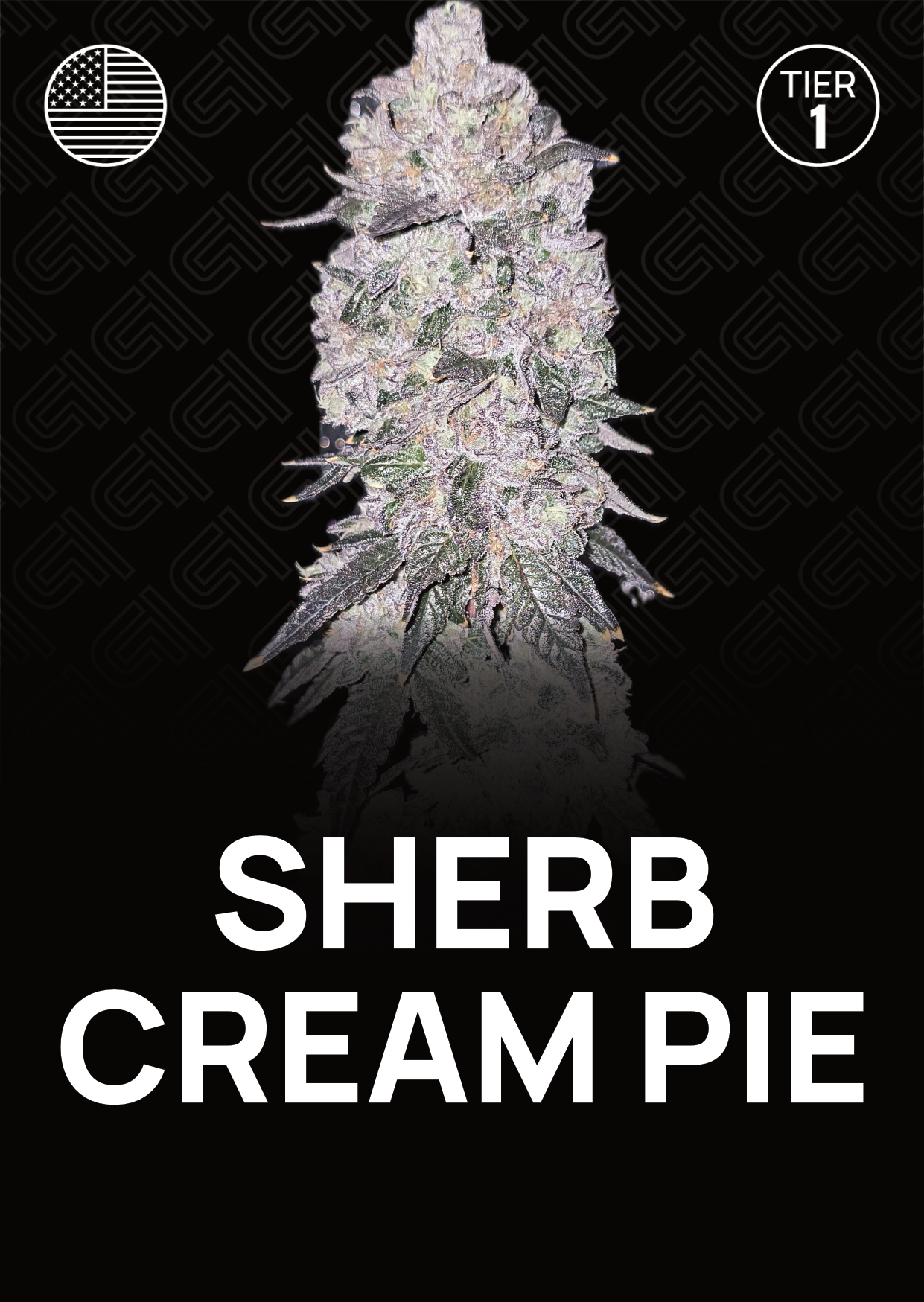 Sherb Cream Pie - Tier 1