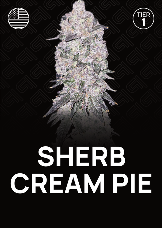 Sherb Cream Pie - Tier 1