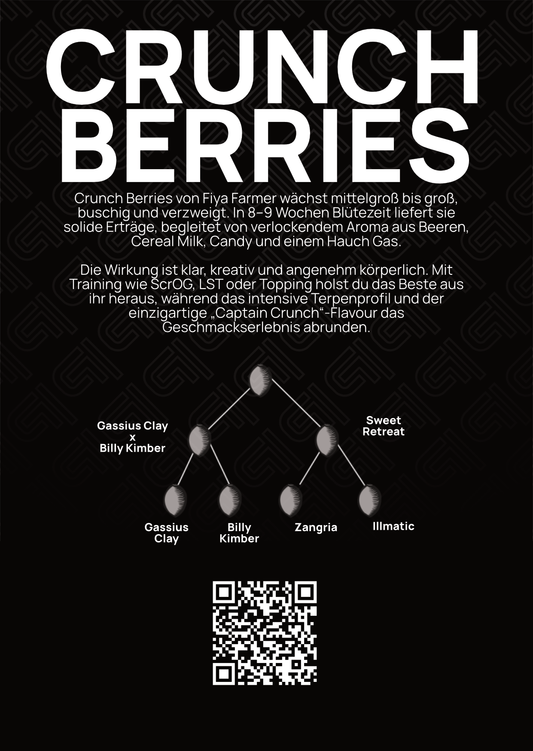 Crunch Berries - Tier 4