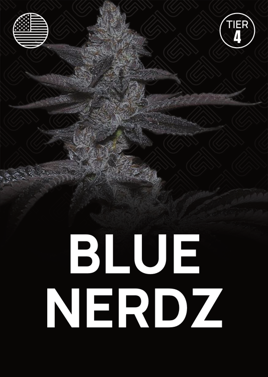 Blue Nerdz  - Tier 4
