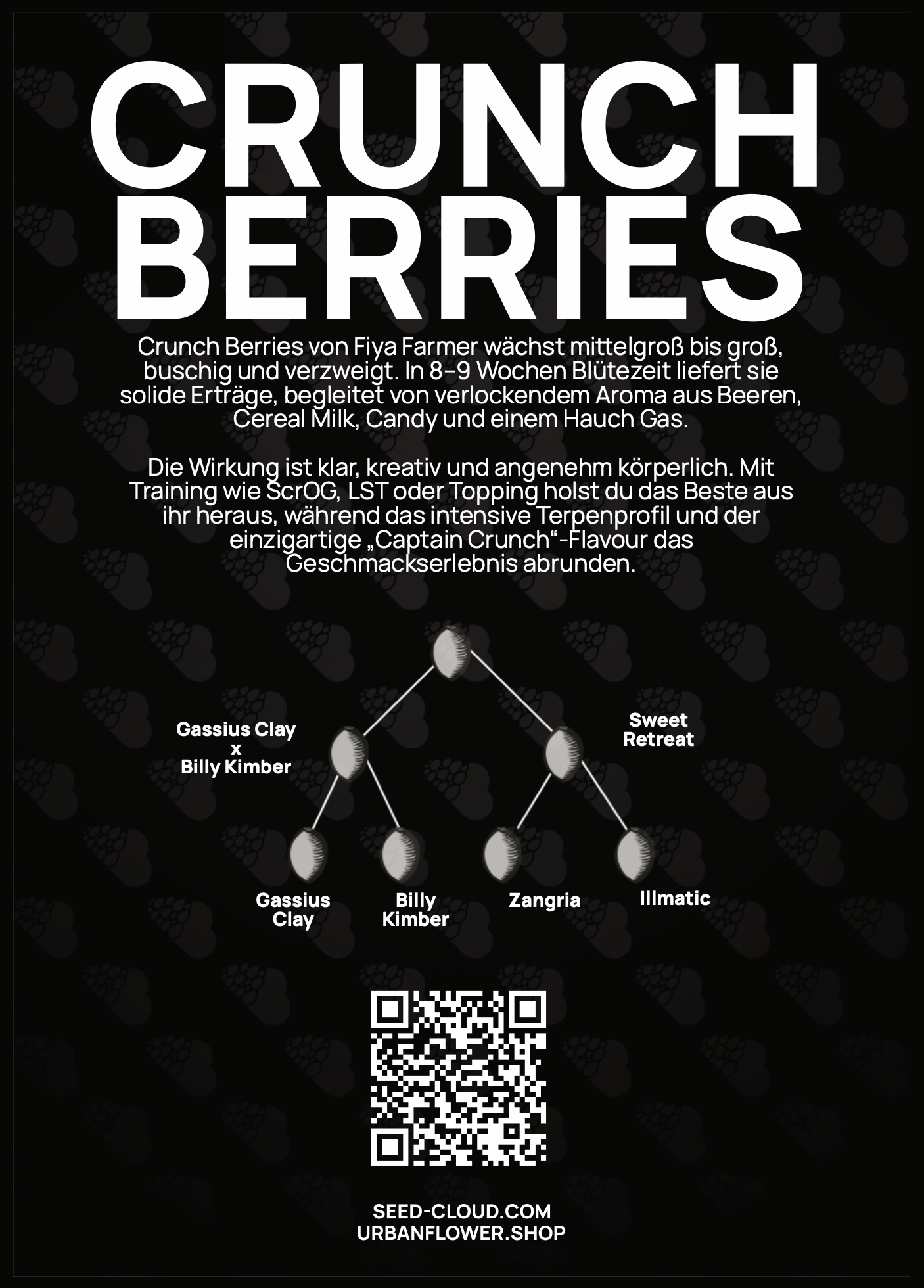 Crunch Berries - Tier 4