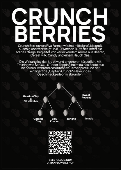 Crunch Berries - Tier 4