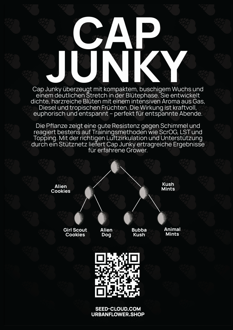 Cap Junky Steckling – intensives Aroma aus Gas, Diesel & tropischen Früchten