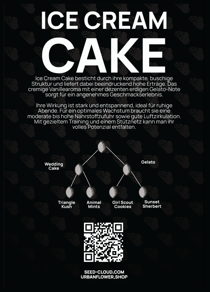 Ice Cream Cake Steckling – cremiges Vanillearoma mit erdiger Gelato-Note