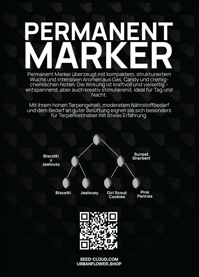 Permanent Marker Steckling – Aroma: Gas, Candy & cremig-chemische Noten