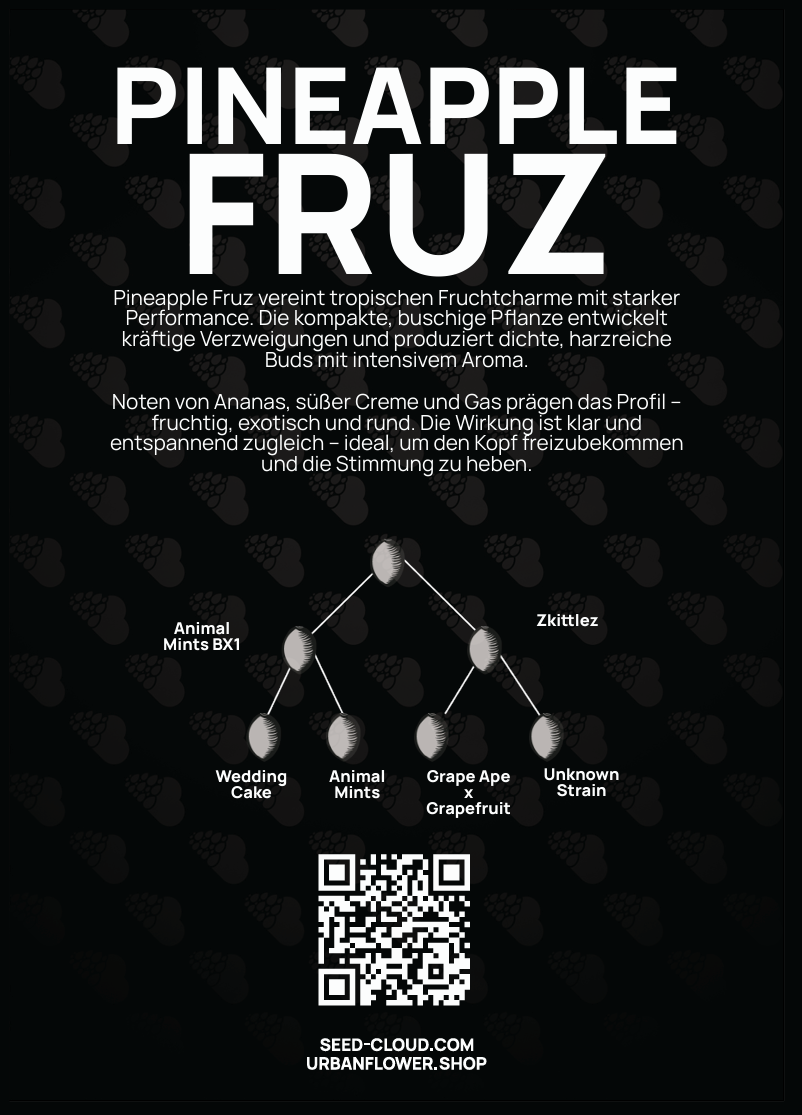 Pineapple Fruz Steckling – Aroma von Ananas, süßer Creme und Gas