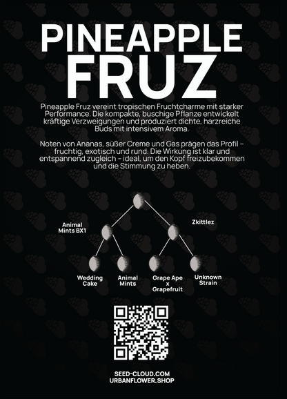 Pineapple Fruz Steckling – Aroma von Ananas, süßer Creme und Gas