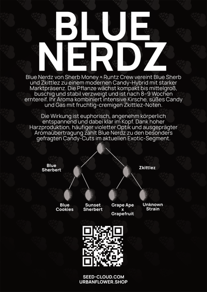 Blue Nerdz  - Tier 4