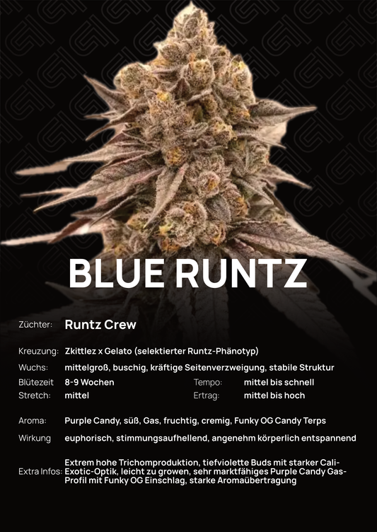 Blue Runtz  - Tier 4