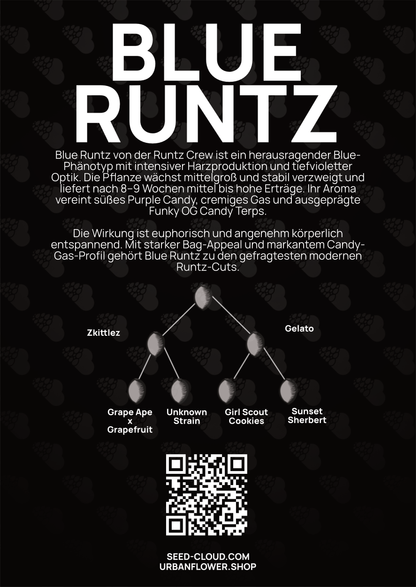 Blue Runtz  - Tier 4