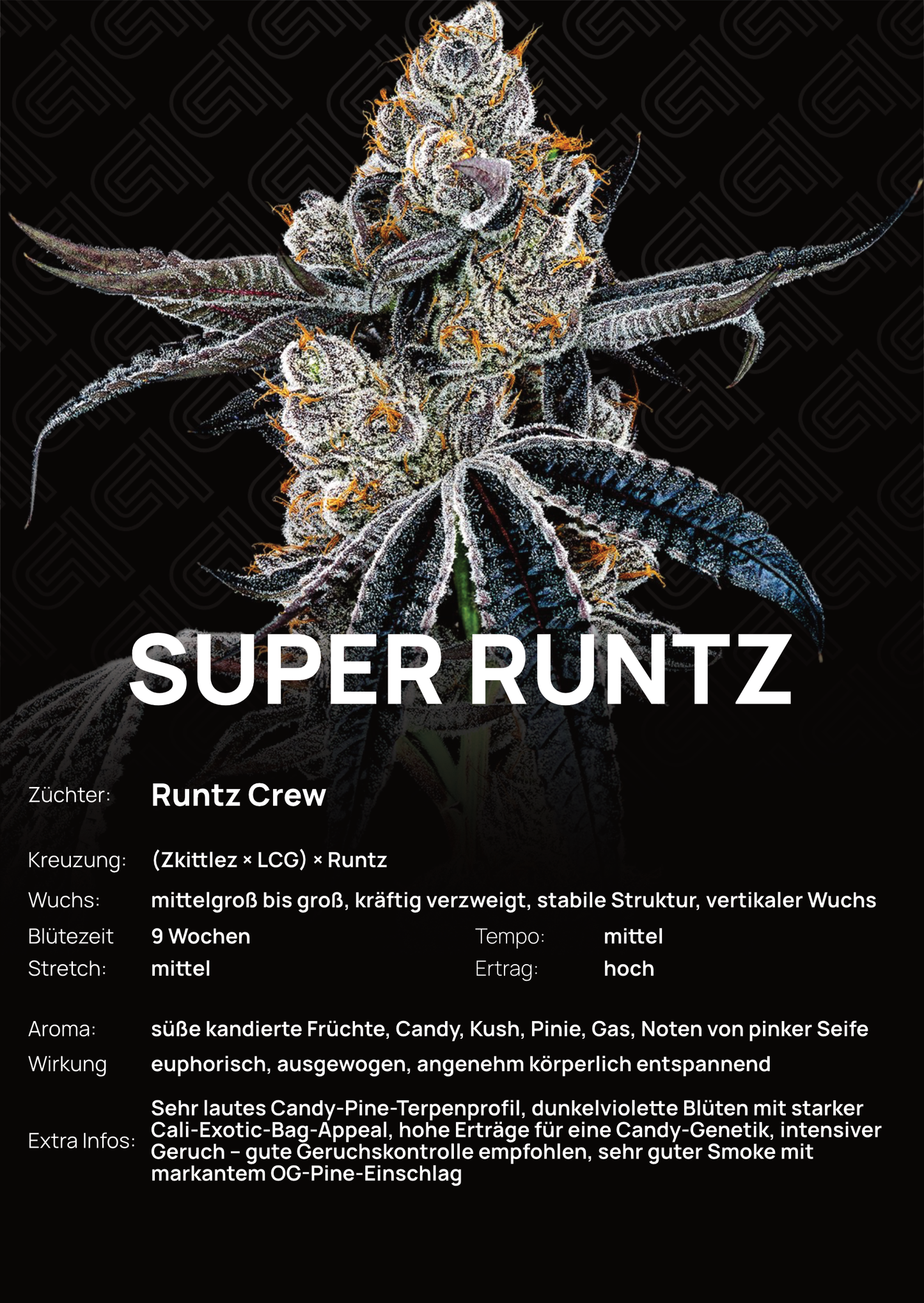 Super Runtz - Tier 4