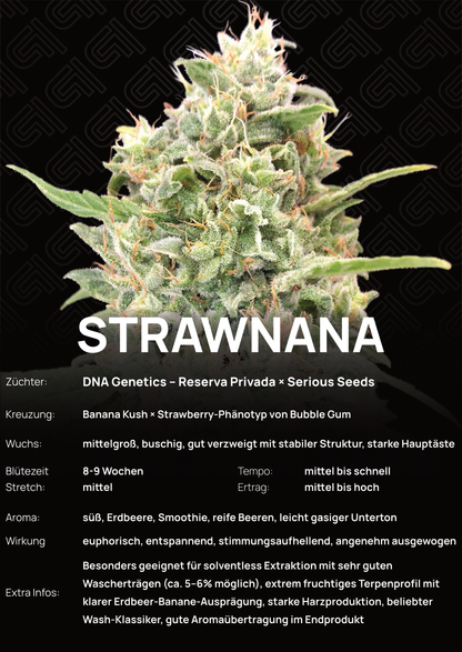 Strawnana - Tier 3