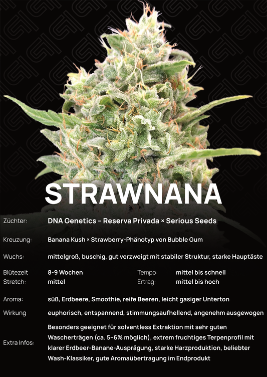 Strawnana - Tier 3