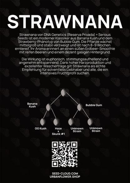 Strawnana - Tier 3