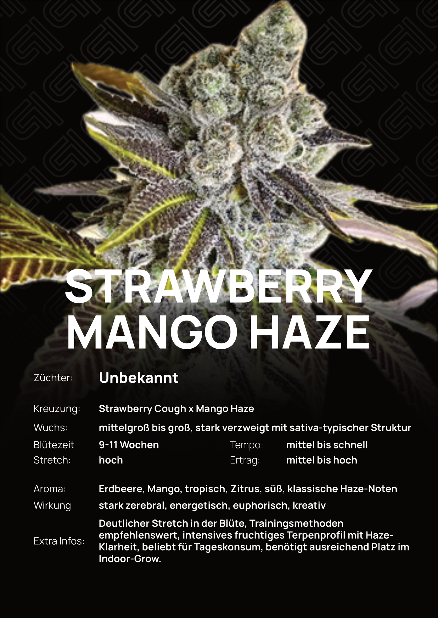 Strawberry Mango Haze - Tier 2