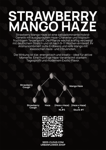 Strawberry Mango Haze - Tier 2