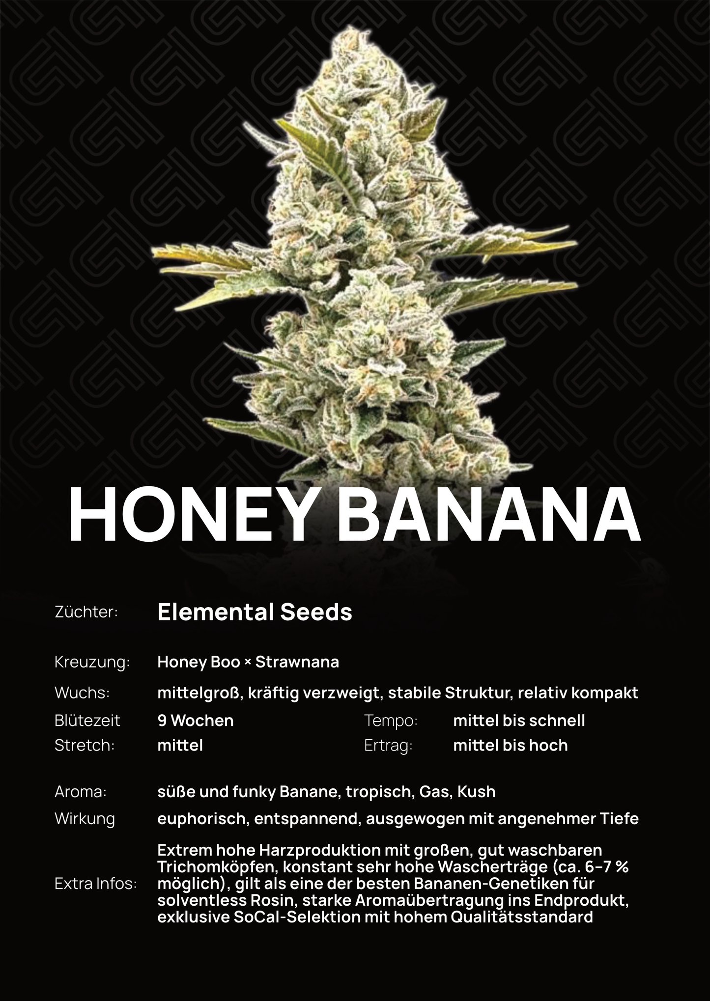 Honey Banana - Tier 5