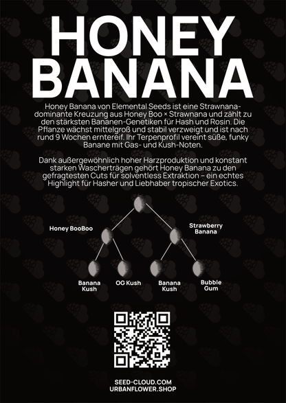 Honey Banana - Tier 5