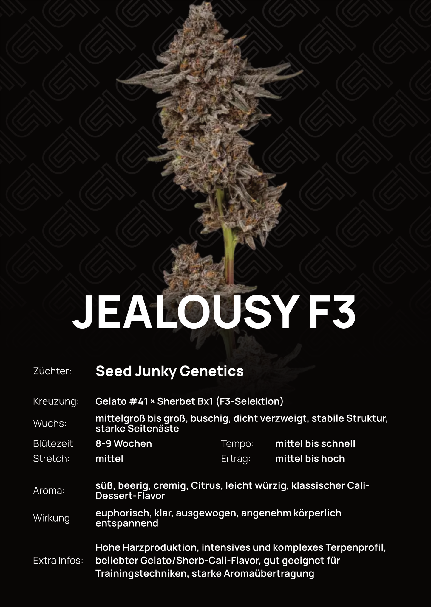 Jealousy F3 - Tier 2