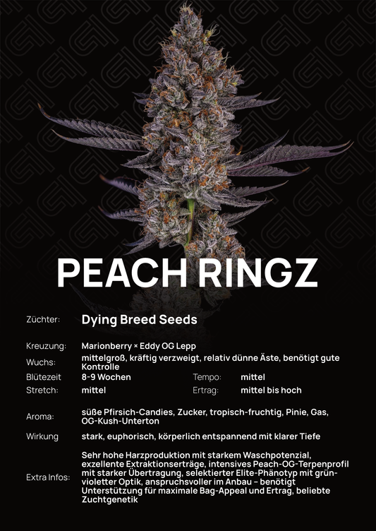 Peach Ringz - Tier 4