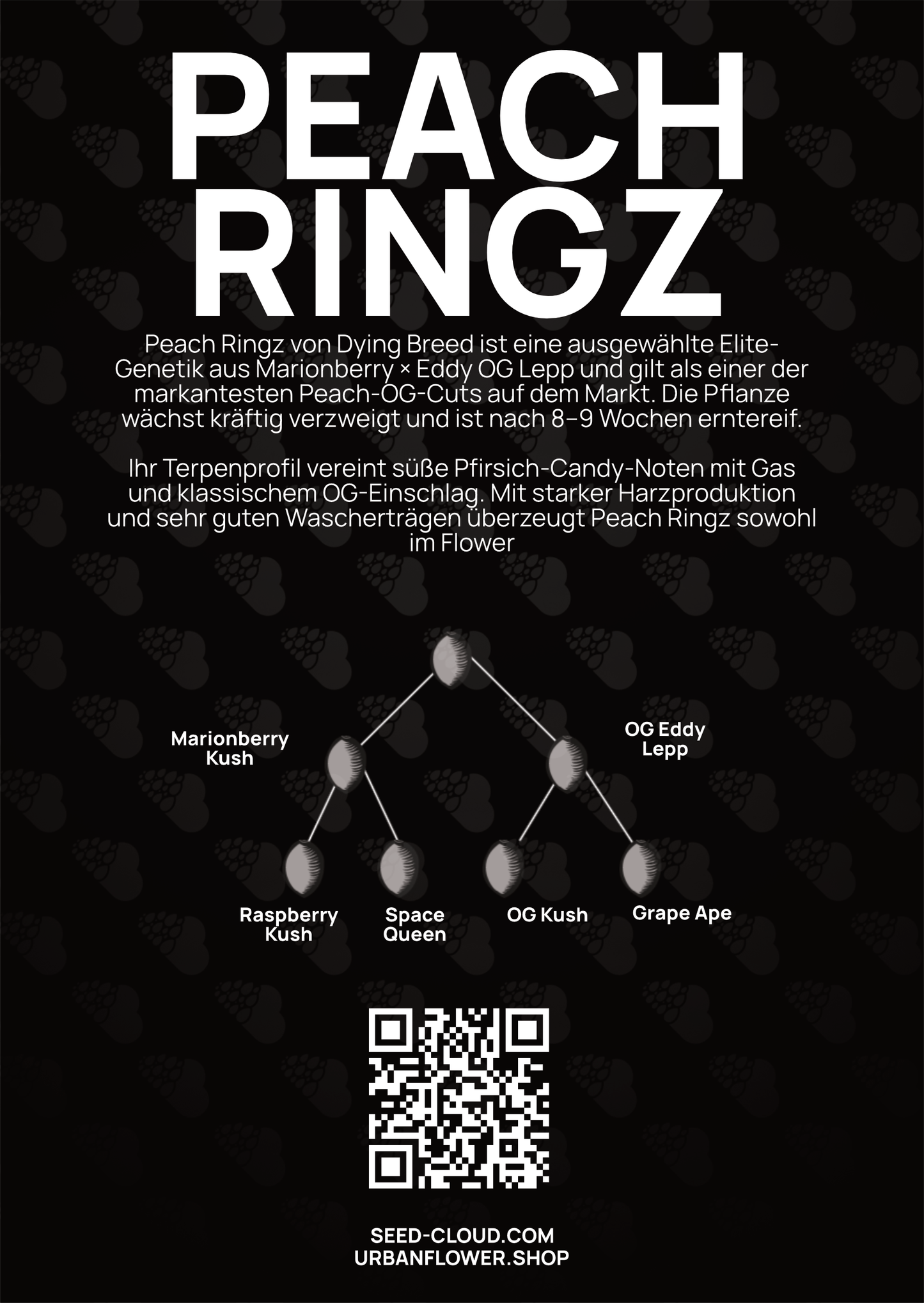 Peach Ringz - Tier 4