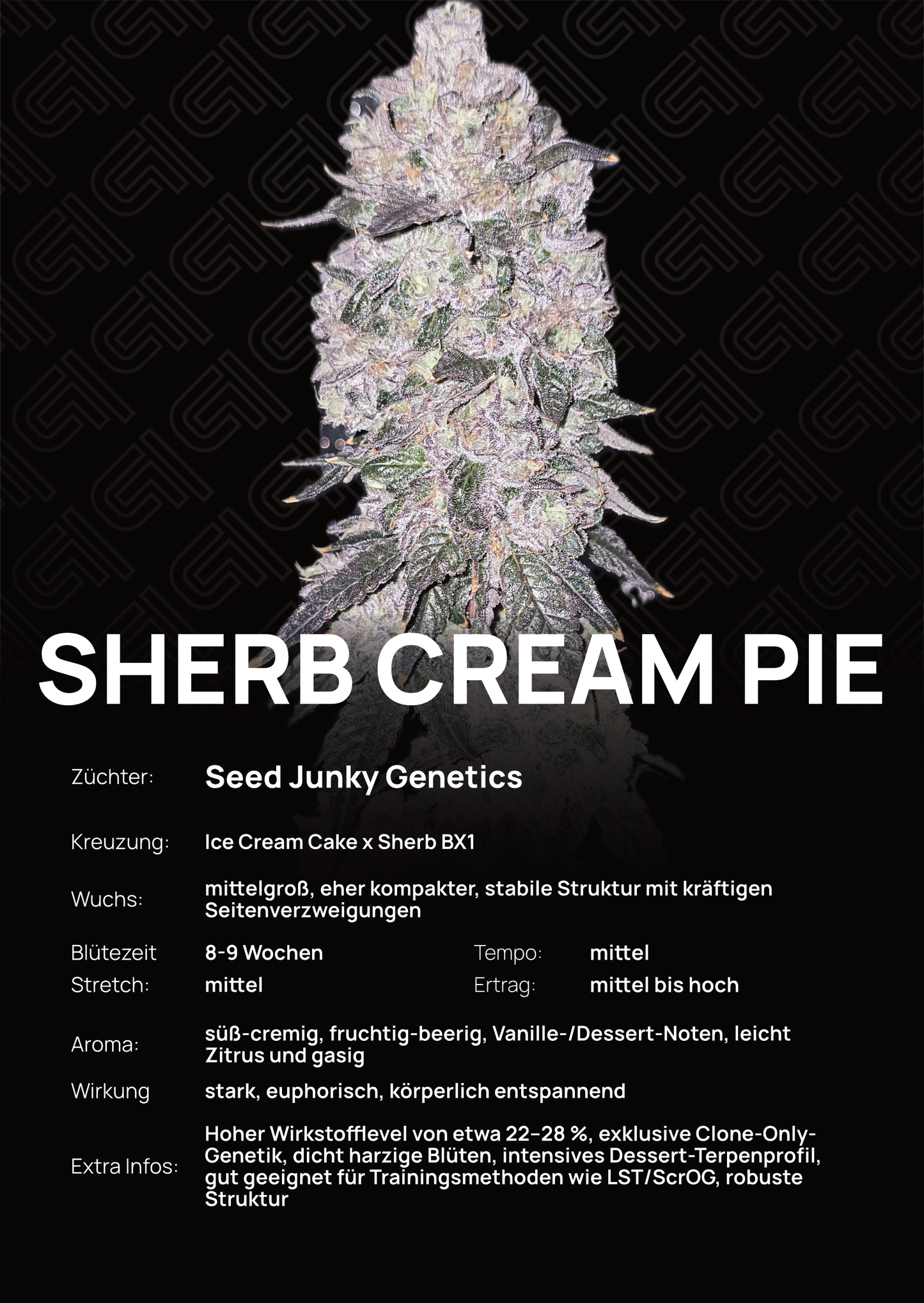 Sherb Cream Pie - Tier 1