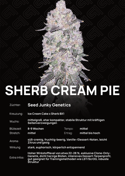 Sherb Cream Pie - Tier 1