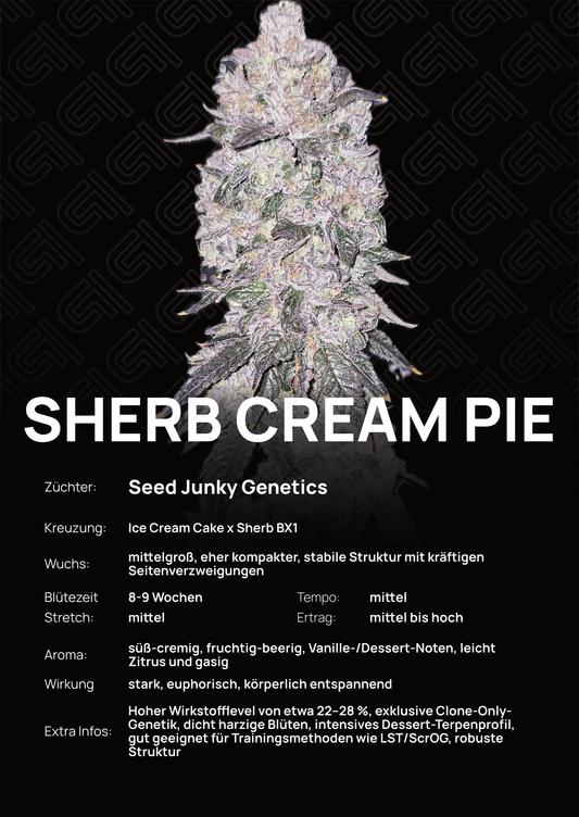 Sherb Cream Pie - Tier 1