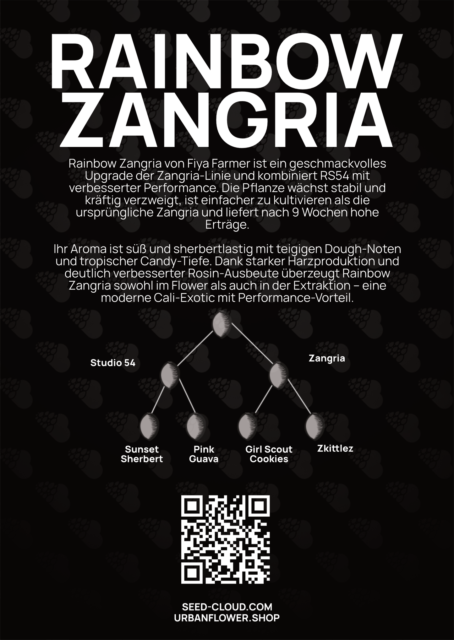 Rainbow Zangria - Tier 2