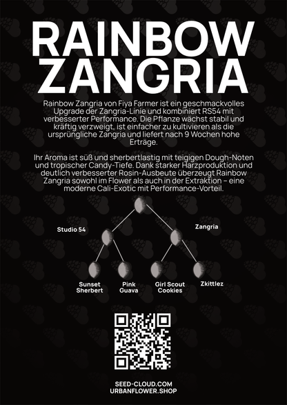 Rainbow Zangria - Tier 2
