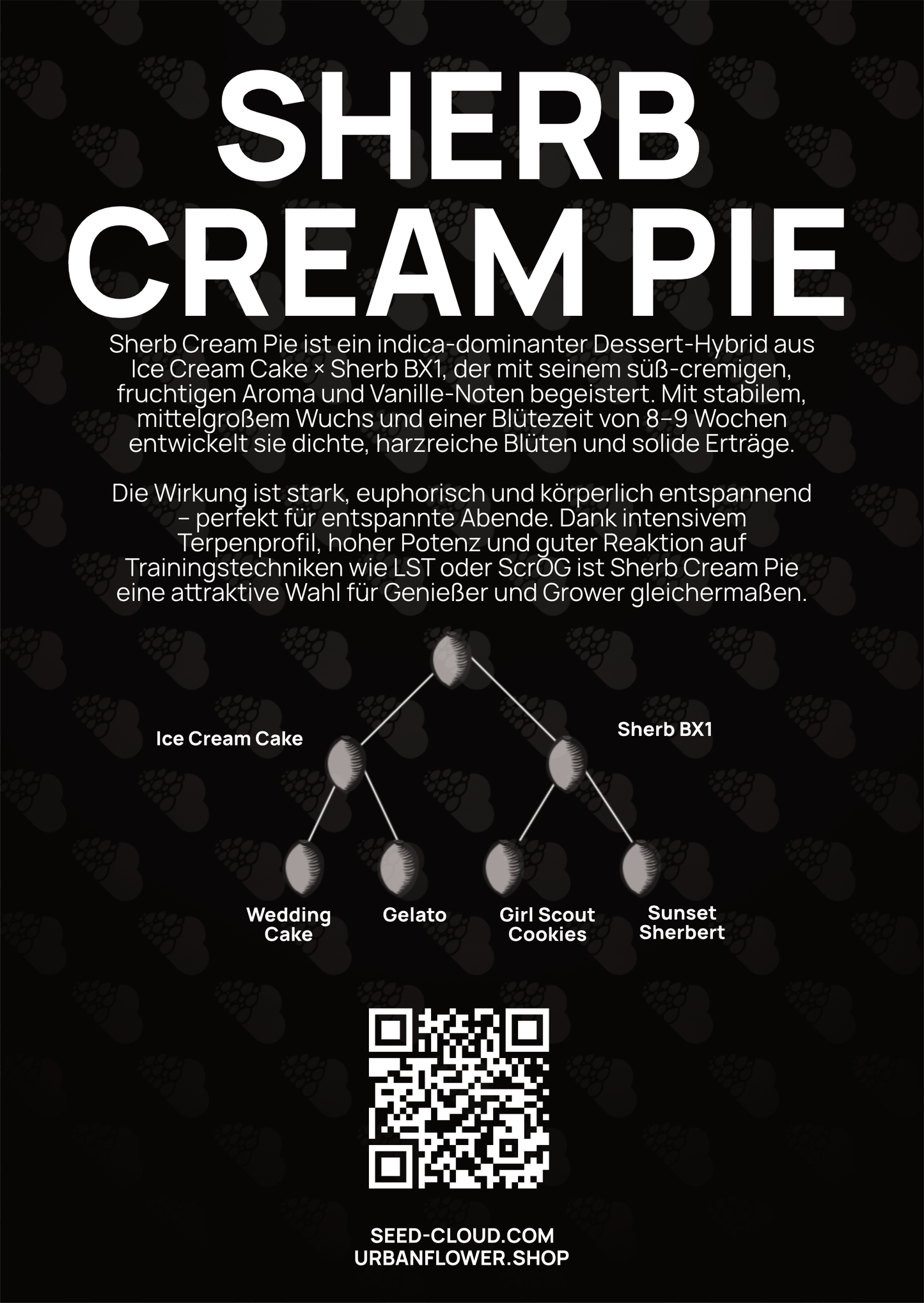 Sherb Cream Pie - Tier 1